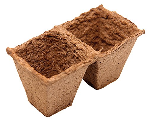 aqua center Macetas cuadradas (6 x 6 cm), 24 Unidades, B2008