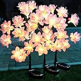 solar worldwide pod stubby legs 🌞【LEBENSECHTE GARTENBELEUCHTUNG】 Das Set enthält 3 Packungen realistischer solarleuchten, jedes hat 12 superhelle LEDs, die Ihren Garten zu einer Märchenwelt machen. Die solar gartenleuchten bringen nachts ein bezauberndes Leuchten und schaffen eine schöne Atmosphäre für Ihren Garten, Hof, Gehweg und Terrasse.