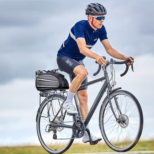 LEMEGO Fahrradtasche für Gepäckträger, Satteltaschen für Fahrrad 10L Gepäckträgertasche...