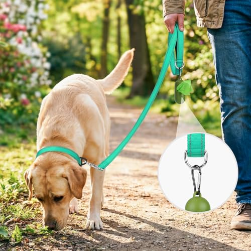 Joytale Dog Leash, 6 FT Double-Sided Reflective, Padded Handle Nylon Heavy Duty Leashes for Medium & Large Dogs Walking, Teal - Image 3