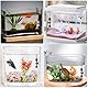 FEDOUR USB Mini Aquarium Heizung 10W Aquarium Heizstab, Aquarium Heizstab mit externem Temperaturregler, Tauchbare kleine Aquarienheizung für 1-10L Aquarium, Fischschalen, Nano Aquarium, Betta
