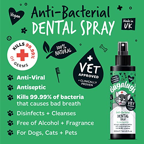 BUGALUGS Cat Teeth Cleaning Spray & Plaque Remover 200ml - Natural Cat Teeth Cleaning Products For Bad Breath, Anti-Bacterial Cat Dental Care use alongside our cat toothbrush and paste - Image 4
