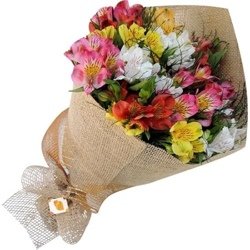 Flores Naturales de Lirios del Perú - Ramo Premium para el Hogar - Composición 30 Flores - Alstroemerias