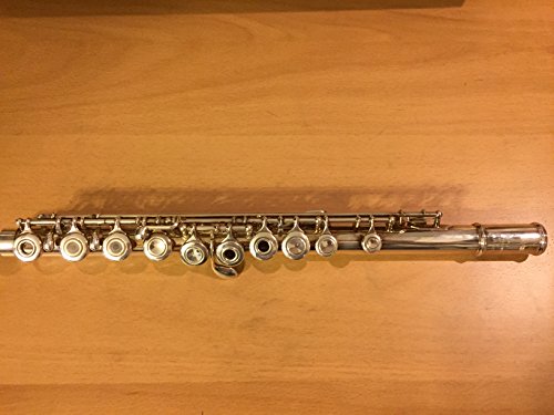 Yamaha Yfl-461 Series Intermediate Flute Yfl461H B Foot, Offset G (Gold Lip Plate) #TOP3