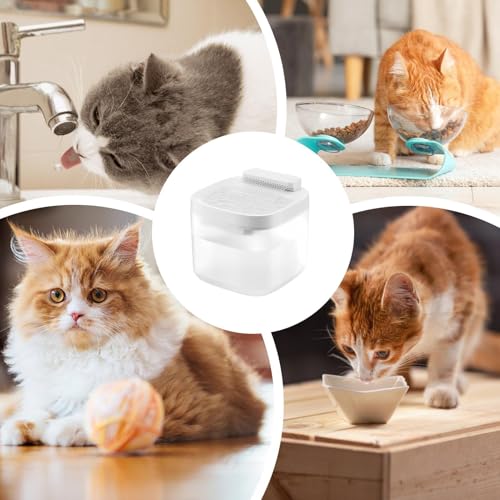 Fontaine pour chats et grands chiens avec système d'eau automatique pour animaux