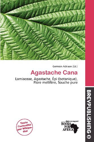 Agastache Cana: Lamiaceae, Agastache, Épi (botanique), Flore mellifère, Souche pure