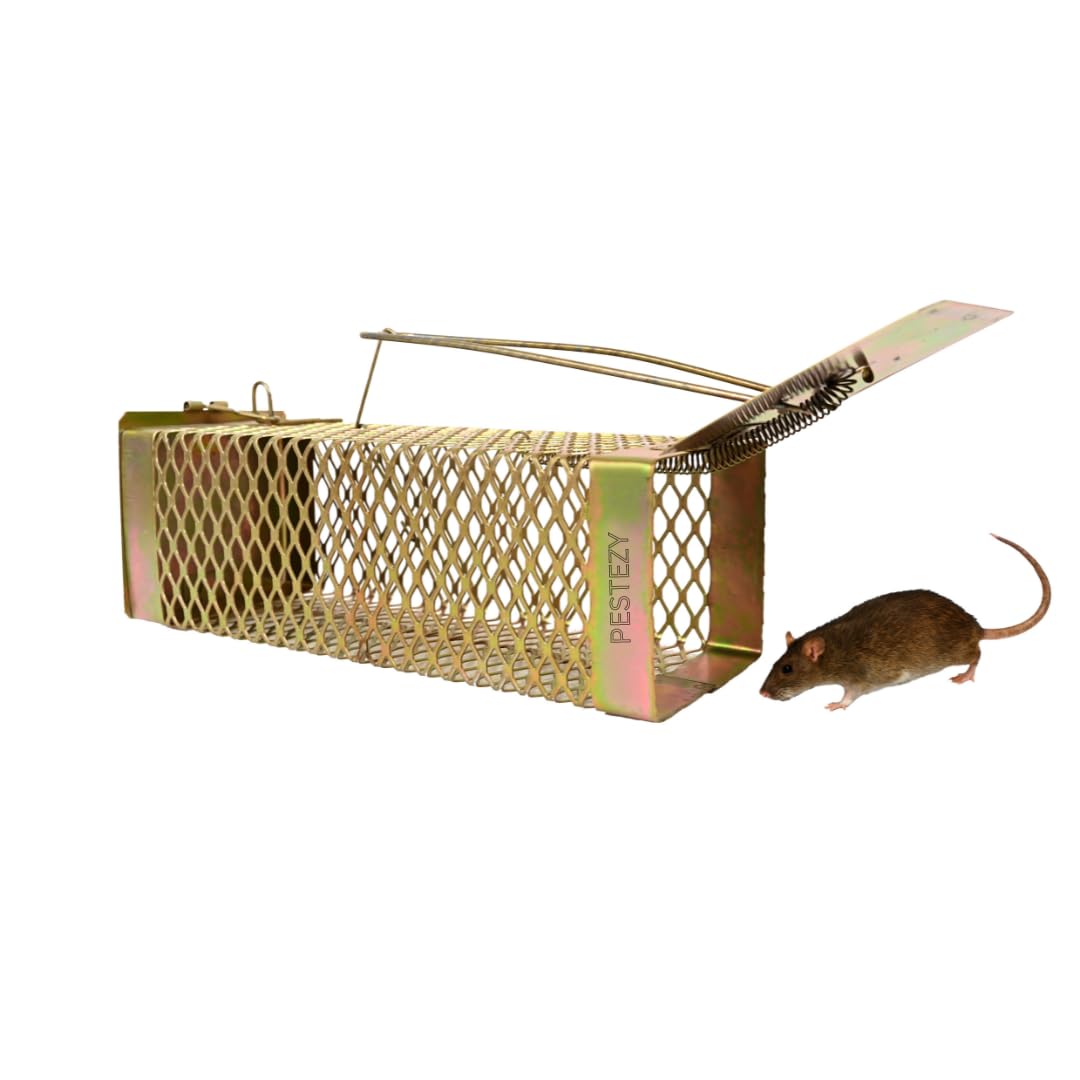 PESTEZY Mouse/Rat Trap cage/Big Iron Rat Trap for Catching Rats/Mouse Catcher Box/Chuha Pakadne ka Pinjara with New & Heavy Quality (Criss cross small Trap) (B0D3J3K1S7) Amazon Price History, Amazon Price Tracker