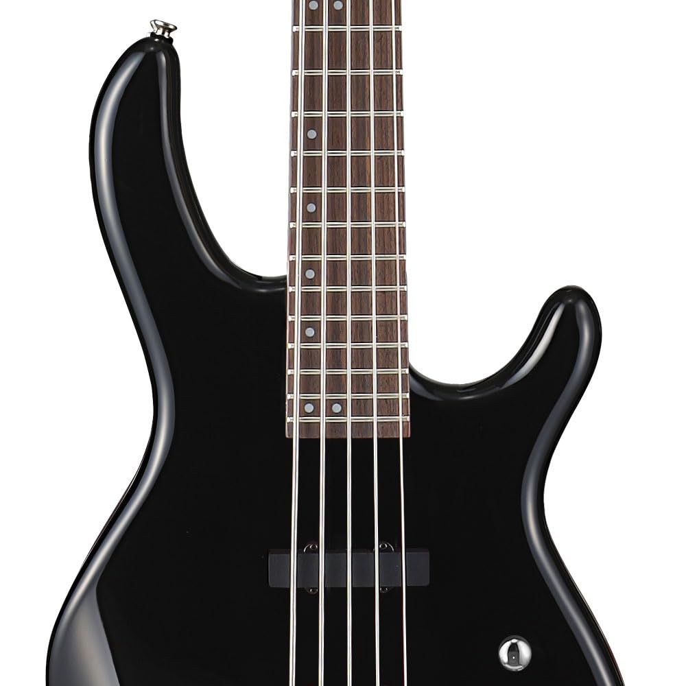 Amazon.com: Cort ACTIONBASSVPLUSBK Action Bass V Plus 5 String