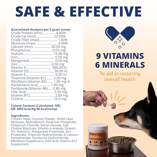 Image of Under the Weather Ready Cal Powder for Dogs, High-Calorie Weight Gainer & Appetite Stimulant, Dog Energy Booster Veterinarian-Approved Pet Supplement with Vitamins & Minerals, Chicken Flavor |10.58 oz