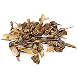 Classification: Roman Plant pleine floraison Période: None