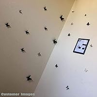 Vista 4 de Calcomanías 3D de pared para decorar la casa o la habitación, 24 unidades, se pueden retirar