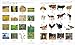Arabic - English Bilingual Visual Dictionary