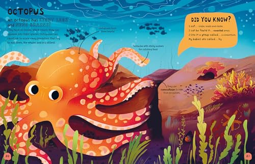 My First Book of Ocean Life - Image 3