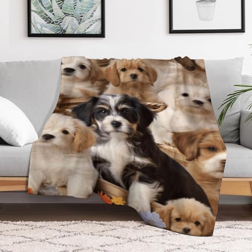 Couverture lit imprimé chiens mignons jeté canapé flanelle
