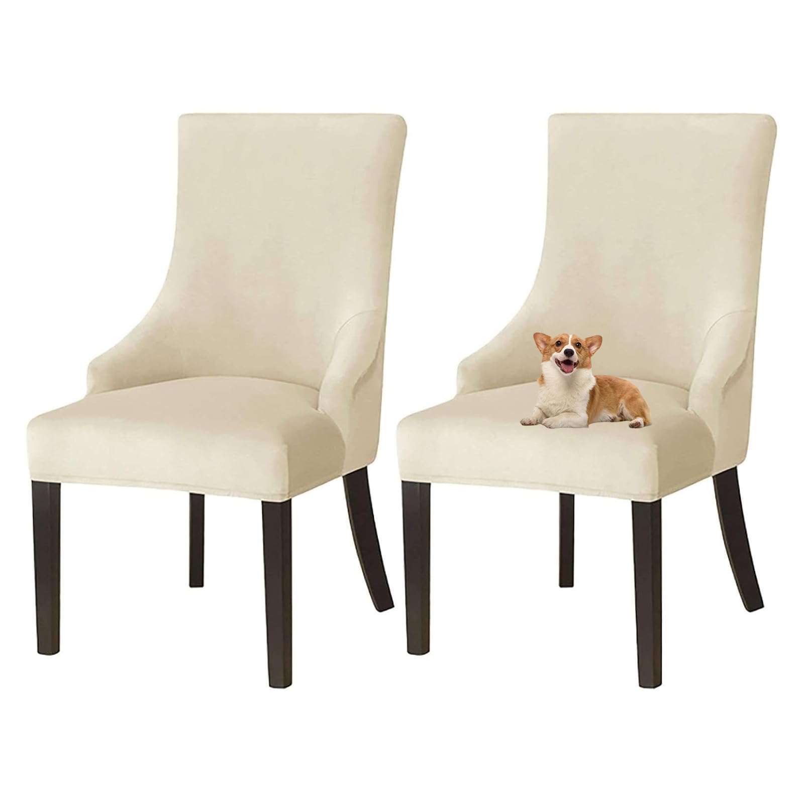 GUYIRT Velvet Wingback Dining Chair Covers Wingback Side Chair Cover Slipcover Sloping Armchair Cover with Elastic Bottom for Kitchen Banquet (beige,set of 2)
