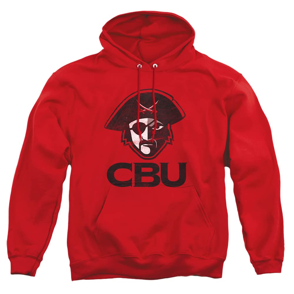 LOGOVISION Official Collegiate Distressed Primary Logo Adult Pullover Hoodie Collection — view 49
