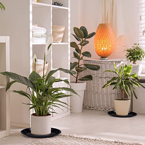 30 Pack Plastic Plant Saucer Round Drip Trays Black Flower Pot Saucers Thick Plant Dish Sturdy Water Tray Heavy Drainage Potted Container for Indoor Outdoor Garden(14 Inches)