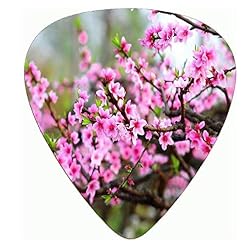 Dmsc . Belle qualité supérieure Fleur Meilleure celluloïd Plastique votres Guitare Médiator Moyen Calibre 0.71mm / 0… - Les Beatles, Paul McCartney, John Lennon, RIngo Starr, George Harrison Dmsc . Belle qualité supérieure Fleur Meilleure celluloïd Plastique votres Guitare Médiator Moyen Calibre 0.71mm / 0… – Image 6