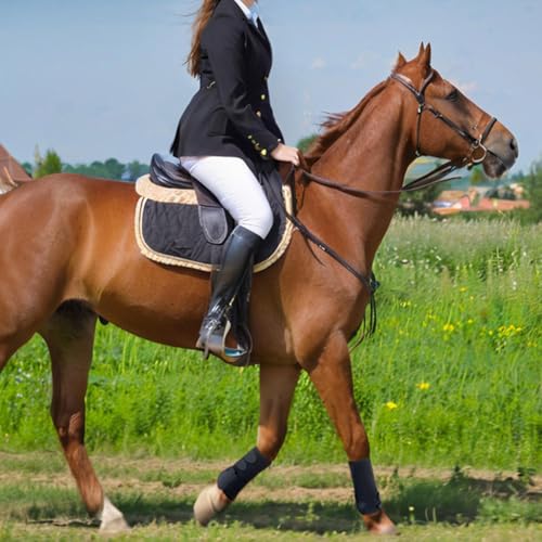 Konnfeir Botas de cavalo, botas de suporte frontal, botas de medicina para esportes de cavalo, equip
