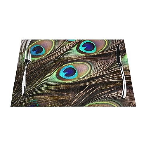 Sets de table plumes de paon lavables et tapis de table cuisine 45x30 cm