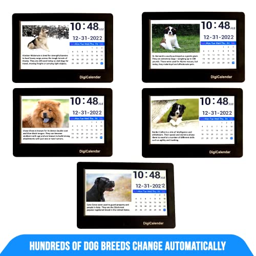 Digital Day To Day Dog Calendar - A Different Breed Changes Automatically Every Day - Ideal Gift For Dog Lovers! #TOP5
