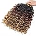 GoGo Curl Crochet Hair for Women Water Wave Curly Crochet Hair Wavy Human Hair Deep Wave Beach Curl Crochet Synthetic Hair Extensions (12 inch(Pack of 6), 1B/30/27)