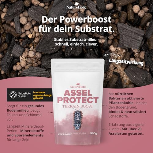 NatureHolic Assel Protect TerrainBoost - Bodenverbesserer für Asselterrarien | Fördert Bodenleben & Gesundheit der Asseln | Schimmel- und Bakterienschutz | Für vitalen Bodengrund | 500g