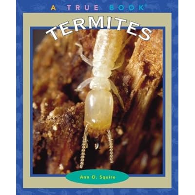 Termites