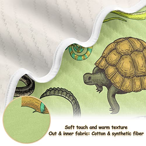 Image of Crocodile Snakes Lizard Baby Blankets Soft Warm Crib Stroller Blanket for Toddler Newborn Girls Boys, 30x40in
