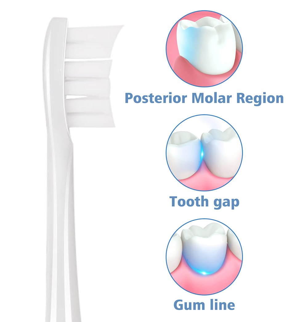 6 cabezales de cepillo de dientes aptos para cepillo de dientes, cabezales de repuesto para (blanco)