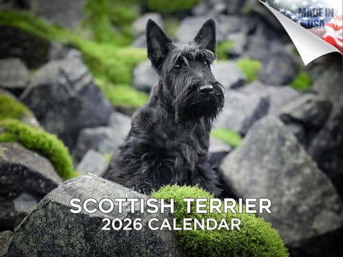 2025 2026 Scottish Terrier Calendar - Dog Breed Monthly Wall Calendar - 12' x 18' Open - Thick No-Bleed Paper - Giftable - Academic Teacher's Planner Calendar Organizing & Planning - Made in USA