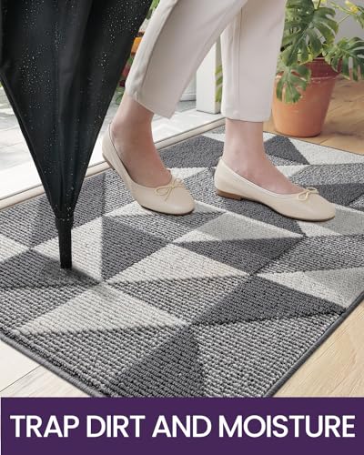 DEXI Front Door Mats for Entryway, Non Slip Washable Low-Profile Entry Doormat, Absorbent Resist Dirt Inside Floor Entrance Mat, Patio, 3x5 ft, Grey/White