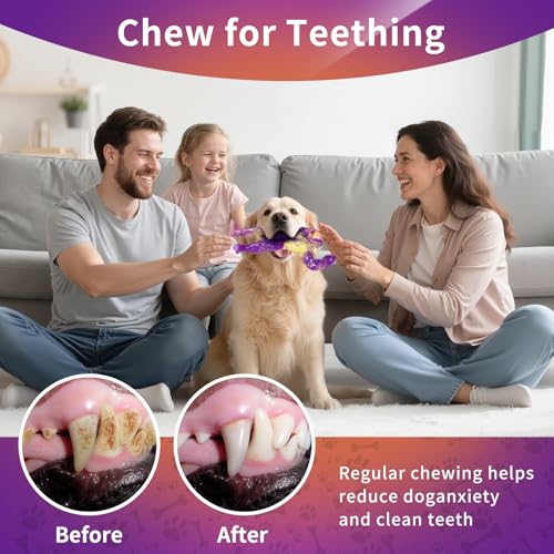 Jouets à mâcher durables pour chien de taille moyenne en lot de 2 - 6