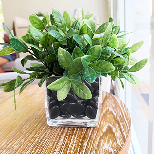 Gaspro 8Lb Black Stones For Plants, Vases, 1 To 2 Inch Decorative Rocks For Pots Indoor, High Polished #TOP6