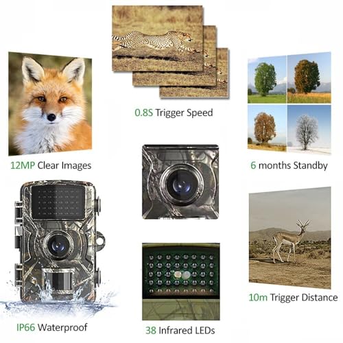 Image of 1080p Full HD Trail Camera - Waterproof, Long Battery Life, Wide Angle Lens, 0.8s Trigger Speed, Night Vision for Wildlife Monitoring, Farms Outdoor CCTV Security, Construction Sites & Home