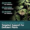Powder D, Micronutrient Supplement, Complete Chelated Trace Mineral Blend with Fe-DTPA Iron, Water-Soluble and Clean for RO Water, Soil and Coco, 5 lb Bag