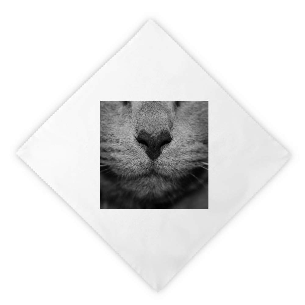 Servilletas de cena lavables de tela blanca con ilustración fotográfica de gato