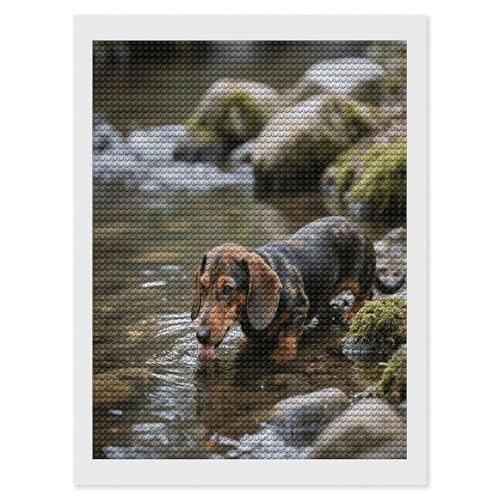 Kit diamant painting teckel idée cadeau loisirs créatifs