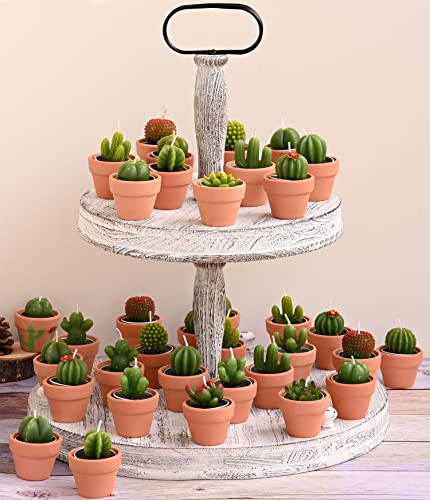 48Pcs Cactus Succulent Candles Bulk Fiesta Tea Party Decor Novelty Terrarium Tea Lights Decorations For Home Mini Baby Shower Prizes Bridal Shower Favors Wedding Gifts For Guests #TOP3