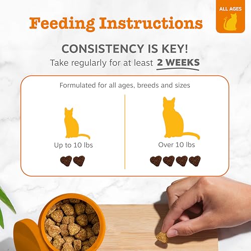 Image of Zesty Paws Calming Chews for Cats - Composure & Relaxation for Everyday Stress & Separation - with Ashwagandha, Organic Chamomile, L-Theanine & L-Tryptophan - Bacon - 60 Count - Cat