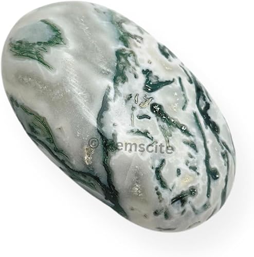 Miniatura 2 de Wholesalegemshop - Piedra de palma tallada de ágata de árbol, piedra de palma de bolsillo, curación de reiki y rejilla de cristal para el equilibrio