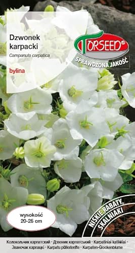 Verdica Graines de campanula carpatica Campanula Carpatica – Parfait pour les jardins de rocaille, nécessite un sol bien drainé, beauté vivace, hauteur 20-25 cm, idéal pour les lits bas ensoleillés