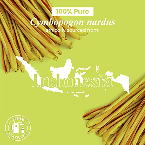 Handcraft Citronella Essential Oil - 100% Pure And Natural - Premium Therapeutic Grade With Premium Glass Dropper - Huge 4 Fl. Oz #TOP6