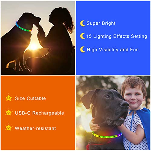 Led Dog Collar - Color Changeable Light Up Dog Collars Usb Rechargeable,15 Light Effects Glow In The Dark Collar Weatherproof Fits For Small Medium Large Dog,Keep Your Pets Seen Safety High Visibility #TOP3