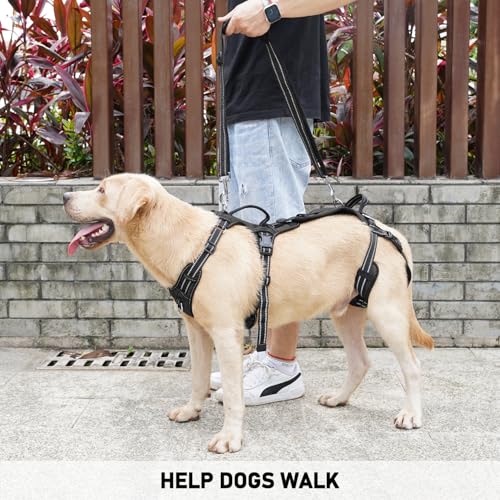 COODEO Mobility Dog Lift Harness, Support Sling & Walking Sling for Dogs, Pet Rear Leg Rehabilitation Support Vest, Dog Carrier for Senior Dogs with Joint Injuries, Arthritis, Up Stair (Black, M) - Image 5