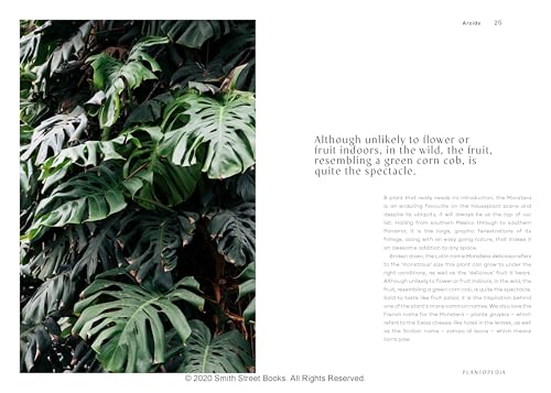 Plantopedia: The Definitive Guide to Houseplants - Image 4