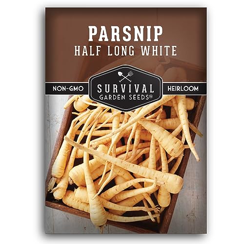 White Half Long Parsnip Seed for Planting - 1 Packet with Instructions to Plant & Grow Halblange Weisse Parsnips in Your Home Vegetable Garden - Non-GMO Heirloom Variety - Survival Garden Seeds
