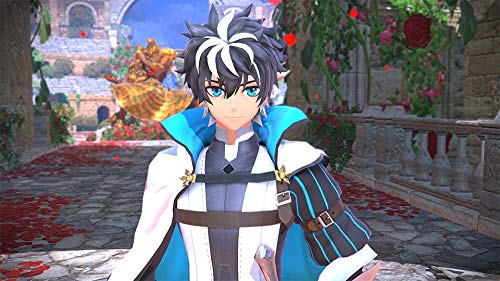 Amazon | プレミアム限定版 Fate／EXTELLA LINK for