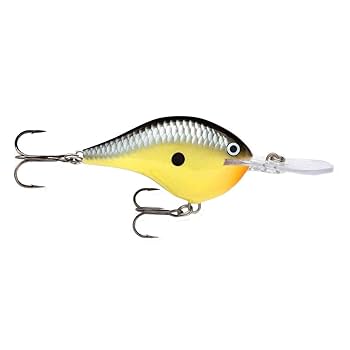 Amazon.co.jp: Rapala(ラパラ) クランクベイト DT ダイブストゥ