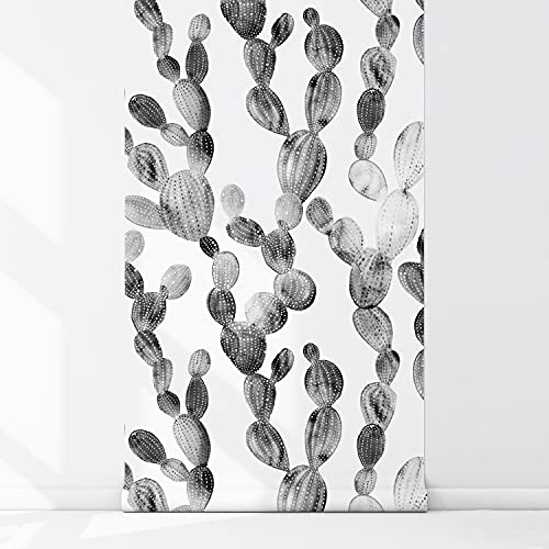 Papier Peint Meuble Chambre Décoration Cactus Boho